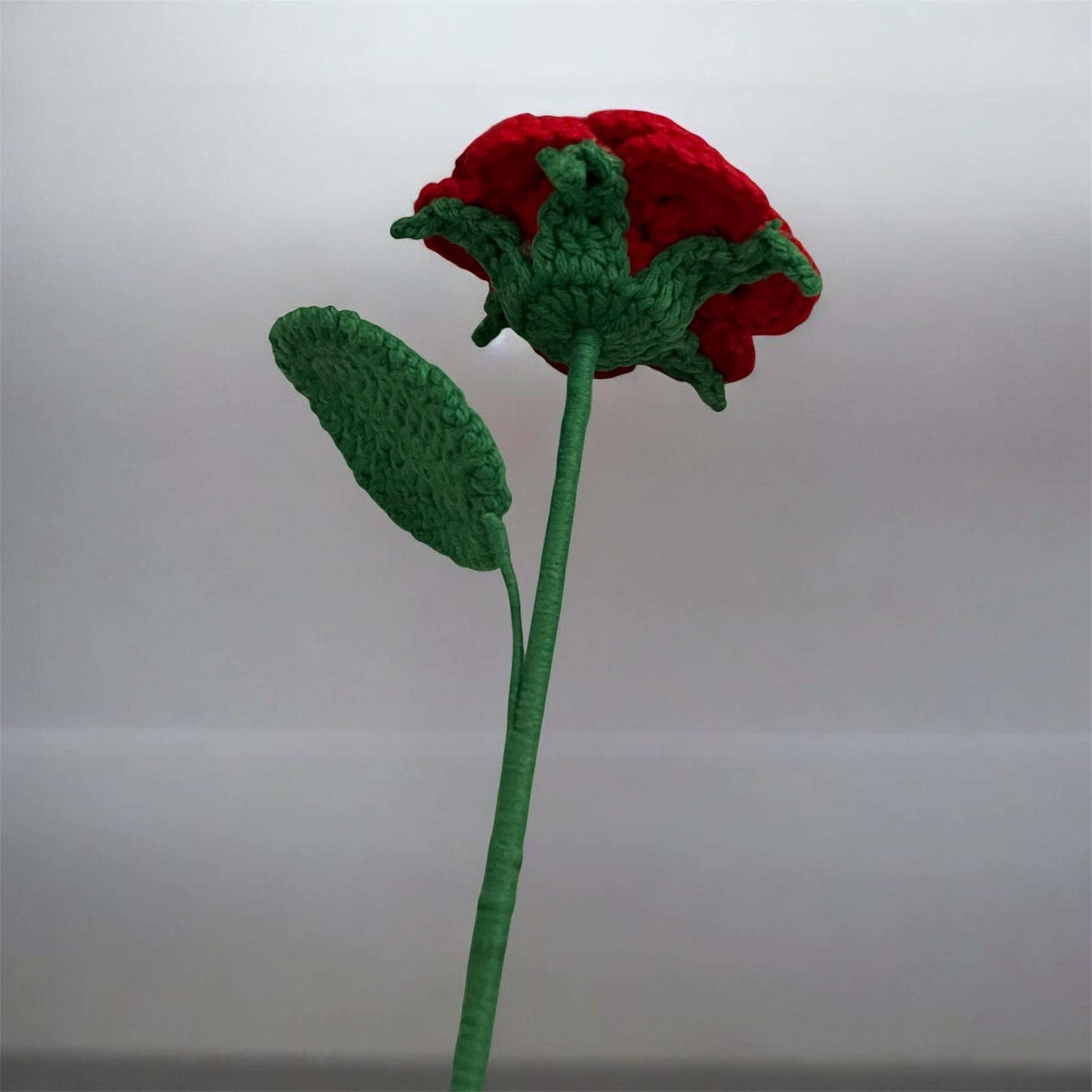 Rosa. Rose.