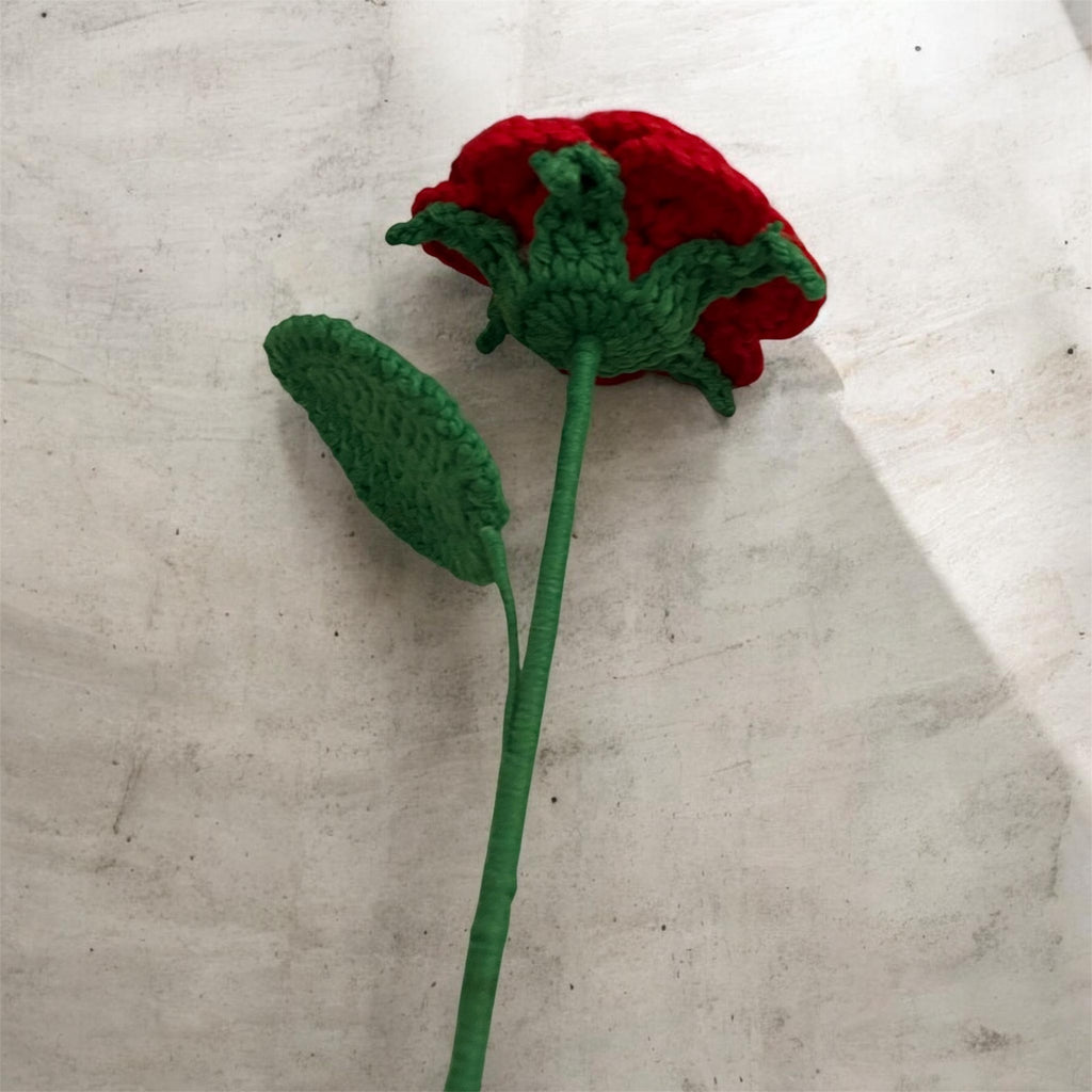 Rosa. Rose.